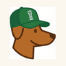 KFUPM's Little Helper, a dog wearing a KFUPM cap